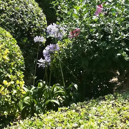 Les Floden Daire *