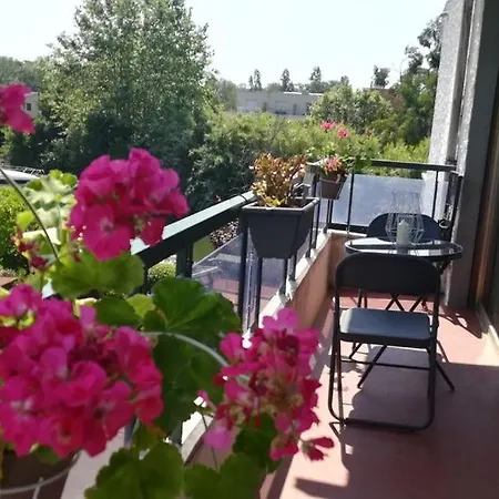 Les Floden Mandelieu-la-Napoule